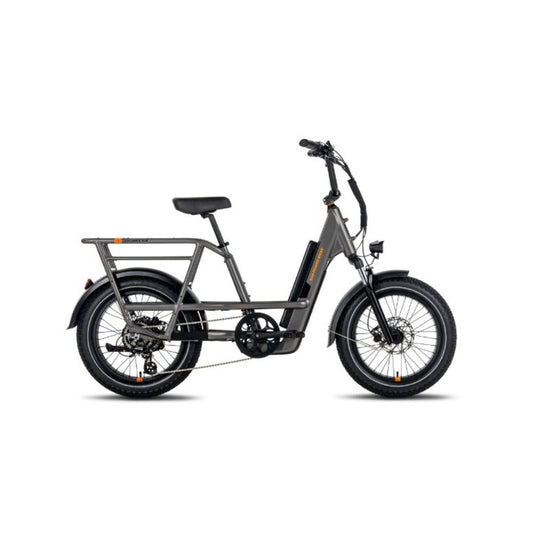 RadRunner 3 Plus Electric Utility Bike - Trick Electric Bikes ebike rentals 