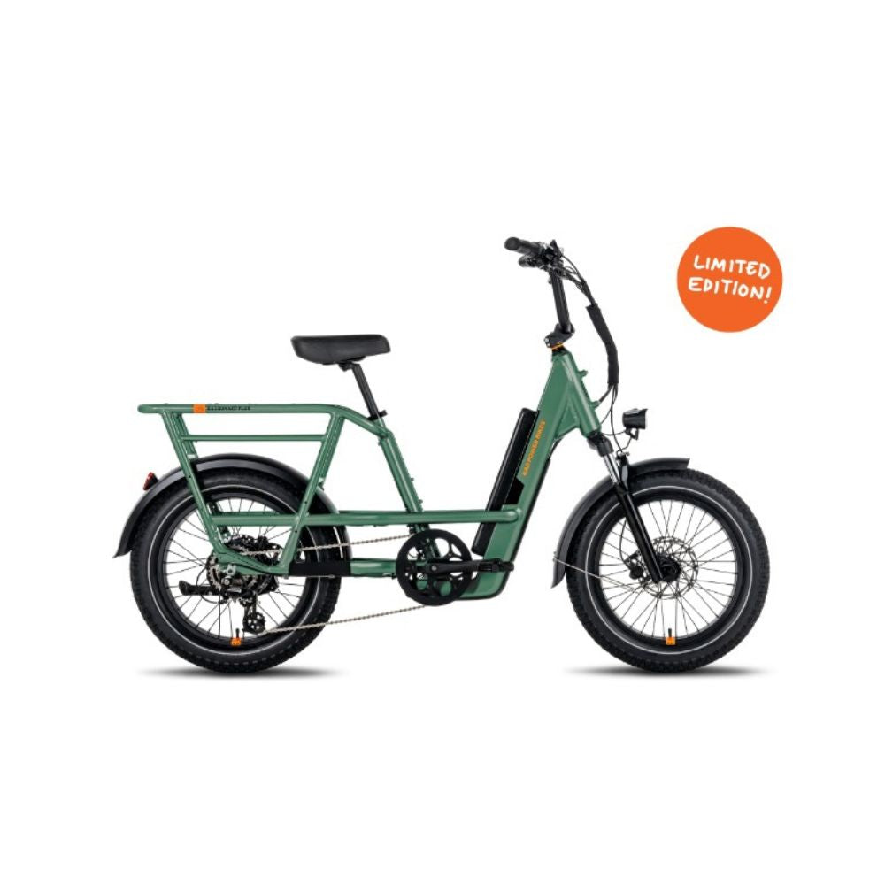 RadRunner 3 Plus Electric Utility Bike - Trick Electric Bikes ebike rentals 